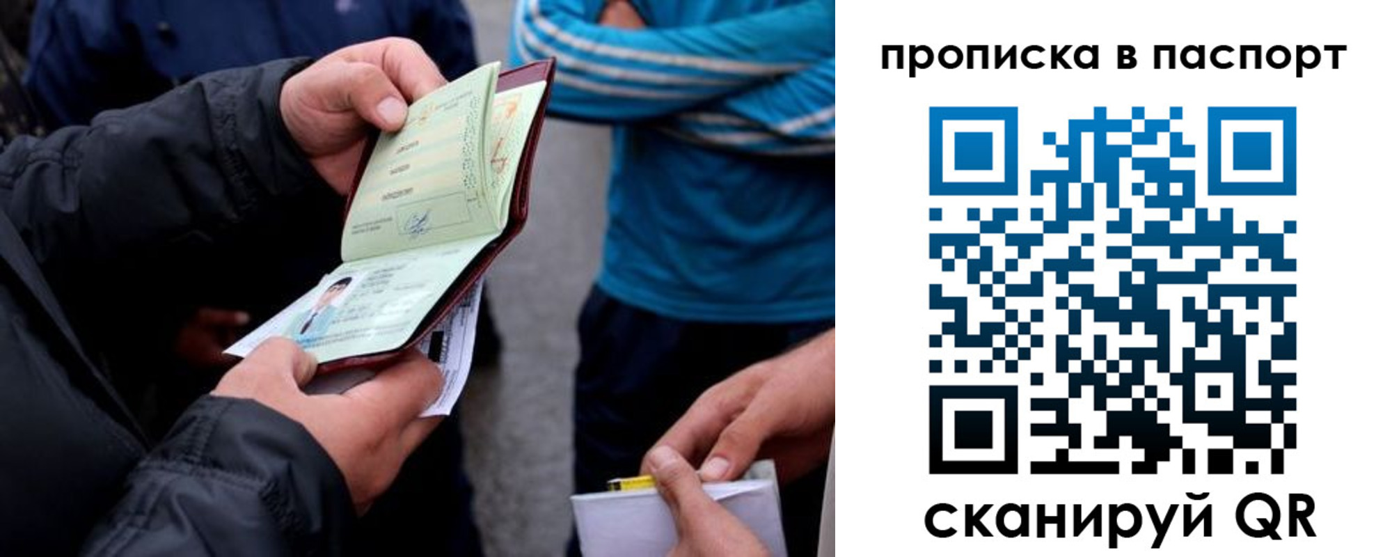 прописка гарантия в Пионерском